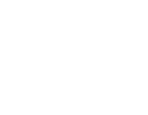Forge Strength